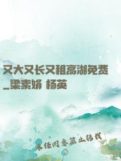 又大又长又租高湖免费